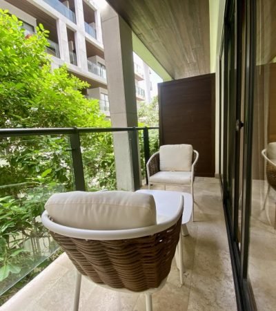 Ipana 1 AR vacations (10) (Medium)